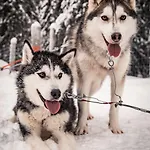 Rezort Magical Pond Nature Igloos Ruka