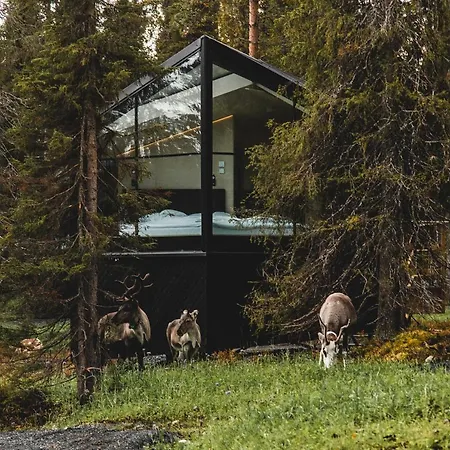 Magical Pond Nature Igloos Rezort
