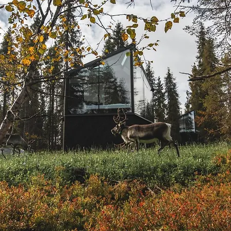 Magical Pond Nature Igloos 3*