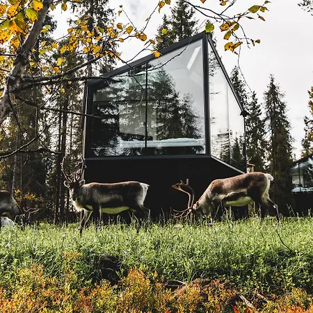 Magical Pond Nature Igloos