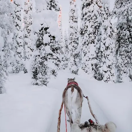 Resort Magical Pond Nature Igloos Ruka