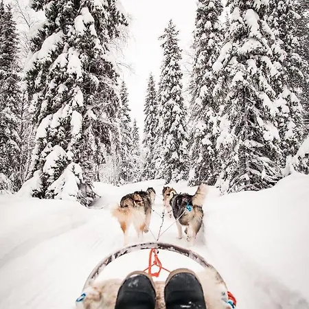 Resort Magical Pond Nature Igloos 3*