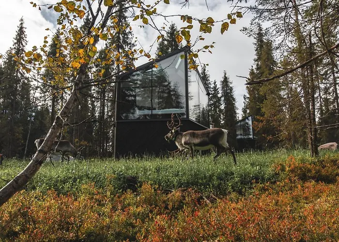 Magical Pond Nature Igloos 3*