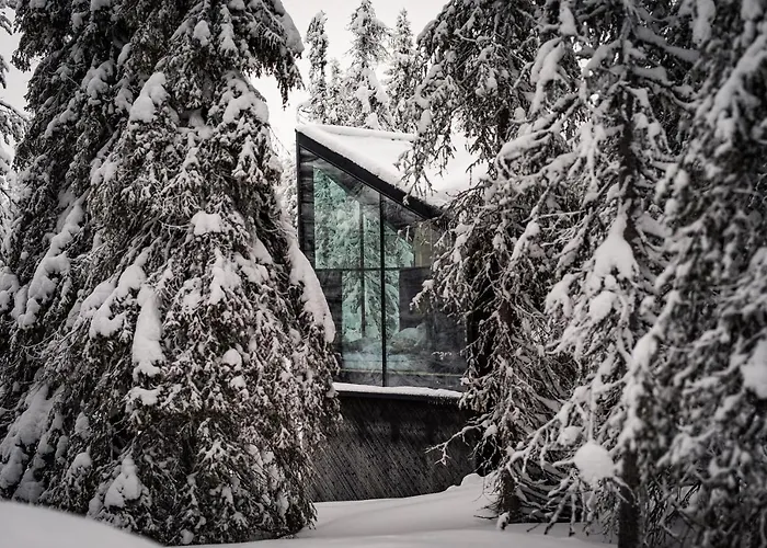 Magical Pond Nature Igloos 3* Ruka