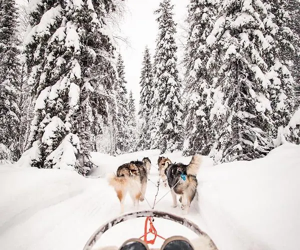 Resort Magical Pond Nature Igloos 3*